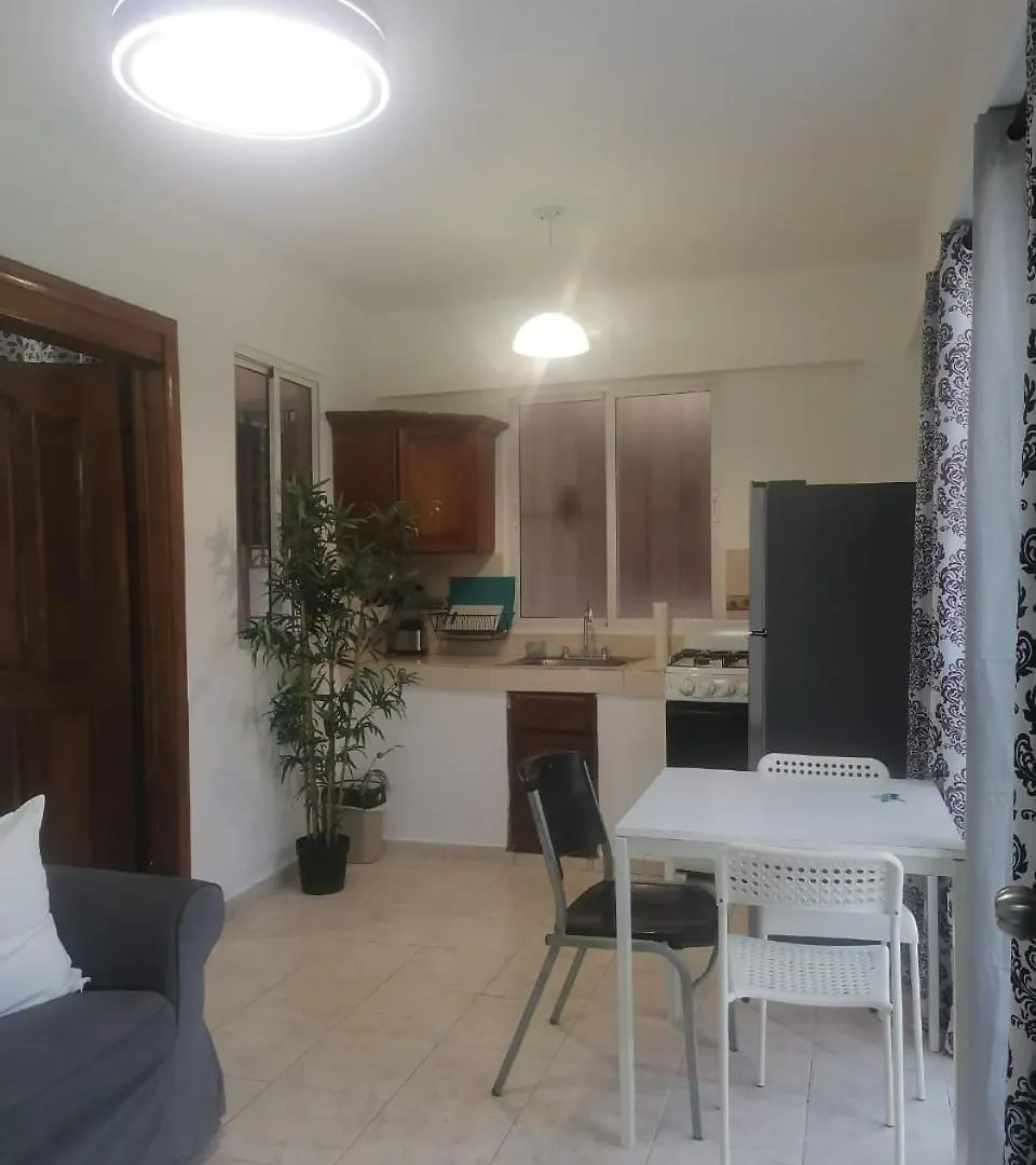 Fantastic With Terrace In The Colonial Zone Apartment Santo Domingo